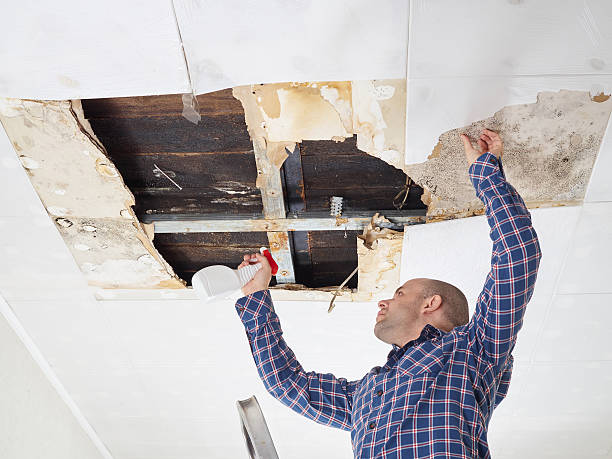 Best Real Estate Mold Inspection  in Philipsburg, MT